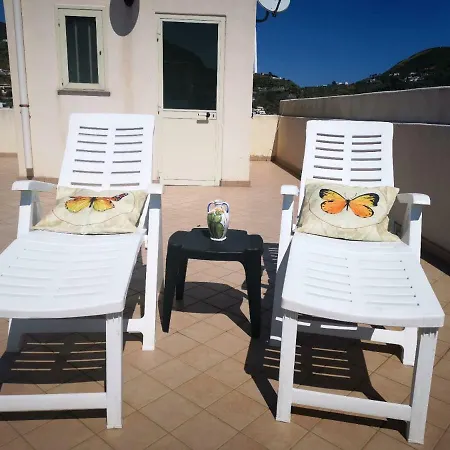 Appartement Tenente Amendola 2 *